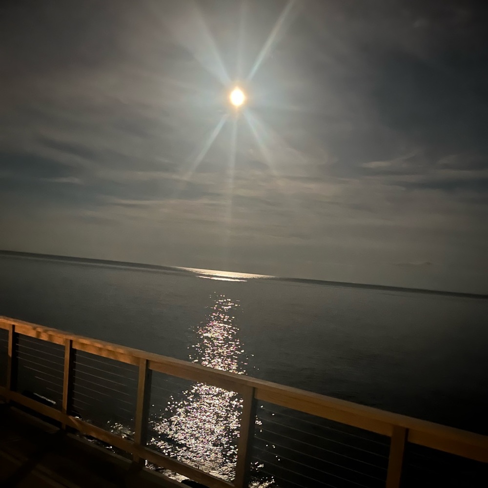 Meet your Posher, Yvette